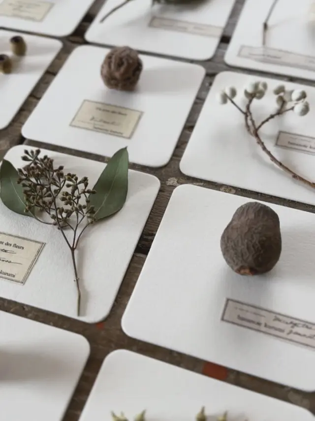 ・
植物標本 -コースター-

来月のイベント
『EUCALYPTUS MARCHE』ユーカリマルシェに向けて
色々制作中

スワッグ
リース
標本

ユーカリが主役なイベントです🌿

香り豊かなユーカリに包まれた空間に
ぜひお越しくださいね☺︎☺︎☺︎
・
・
・
─────────────────────────

◉EVENT 『 EUCALYPTUS MARCHE 』ユーカリマルシェ
12/14(日) @studio_and_space_hidingblock

販売イベントなので予約は不要です☺︎
詳細はブログをご覧ください
(ハイライトにリンクを貼っています🔗)
@hananoiekurumi

………………………………………………………………………………

◉WORK SHOP『 しめ縄スワッグ＆標本カレンダー 』
12/21(日) @studio_and_space_hidingblock 

満席▷キャンセル待ち受付中
申込方法・詳細はブログをご覧ください
(ハイライトにリンクを貼っています🔗)
@hananoiekurumi

────────────────────────
・
・
・
#はなのいえくるみ
#植物標本
#EUCALYPTUSMARCHE2025