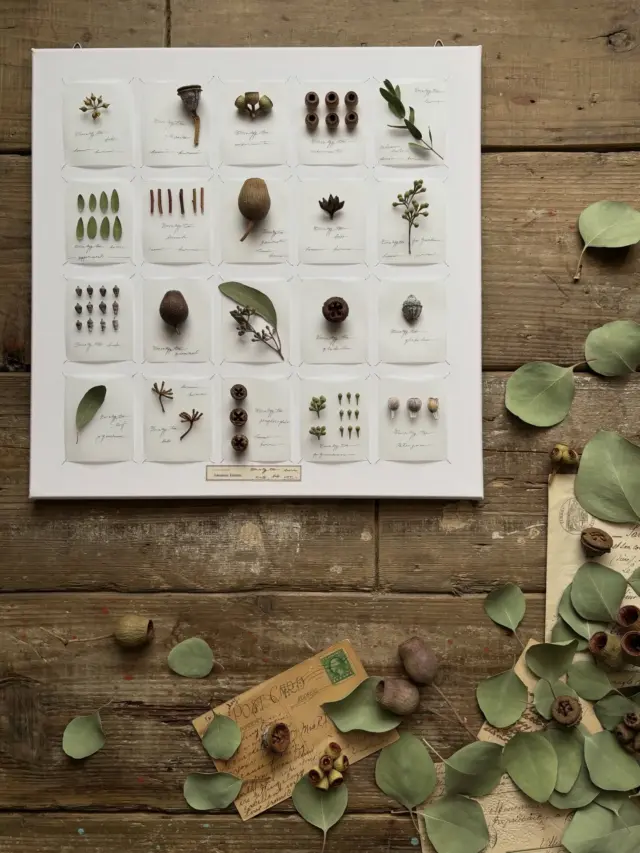 ・
オーダー (2025年12月制作)
▷ユーカリの標本ボード / ドライフラワー

葉
実
蕾
枝

ユーカリだけで作った標本ボード

時間のかかる作品ですが
個人的にも
めちゃくちゃ気に入っている作品

昨年12月のユーカリマルシェにて
初お披露目

オーダーをいただいて
2個目を制作🌿🌿🌿

オーダーありがとうございました！

・
・
・

─────────────────────────

◉ 『 【お悩み解決】お花のコーチング 』
　1/22(木) @studio_and_space_hidingblock
🔴〆切間近

　花仕事のお悩み解決
　今思っている事、悩んでいる事、
　何でもお話しきかせてください☺︎
　一緒に解決していきましょう
　詳細はブログをご覧ください
　(ハイライトにリンクを貼っています🔗)
　@hananoiekurumi

◻︎リクエスト制WORK SHOP同日開催
🔴〆切間近

……………………………………………………………………………………

◉WORK SHOP 『 森のかけら 』
　1/25(日) @studio_and_space_hidingblock
🔴午前残り数枠
　
　森の落とし物を集めたようなボードアレンジメント
　申込方法・詳細はブログをご覧ください
　(ハイライトにリンクを貼っています🔗)
　@hananoiekurumi

◻︎リクエスト制WORK SHOP同日開催

─────────────────────────

・
・
・

#はなのいえくるみ
#ユーカリ
#植物標本
#標本ボード