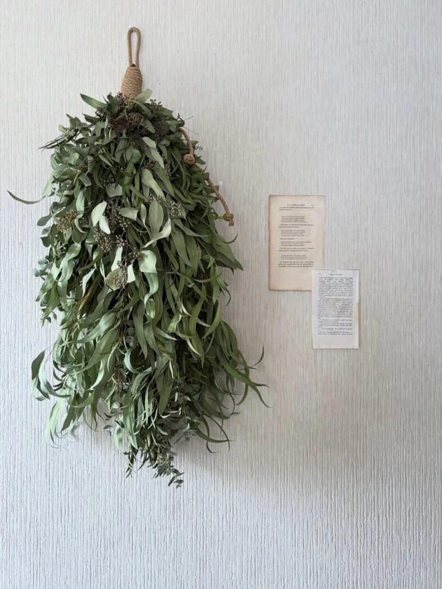 ・

オーダー (2026年1月制作)
▷ユーカリロープスワッグ / ドライフラワー

昨日投稿した
リール動画で制作していた

１００センチ
ユーカリロープスワッグ

昨年に引き続き
今年もオーダーいただいて
2代目を制作

直接渡せるから
送料も気にせず制作できる◎

ROTTANさんのカッコいいshop、
HANDに飾ってくれてます
@rottan_bh

スワッグを持ってもらって
HANDで写真も撮ったので
そちらはまた明日に☺︎

たっぷりたっぷりと
ユーカリを束ねて

ユーカリだけで作る
シンプルなスワッグ

丸い葉
細い葉
長い葉
粒々な蕾

色んな品種がある
ユーカリだからこその

シンプルでもきちんとニュアンスがでる
カッコいいスワッグ🌿🌿🌿

やっぱりユーカリは優秀で
ワタクシ、大好物な植物

長いユーカリが
花市場に出回る期間だからこその
100㎝ユーカリスワッグ

こちらはドライフラワーですが
フレッシュの長いユーカリに出会えるのは

春までの間
あと少しだけ

皆さんにもぜひ
フレッシュのユーカリに触れていただきたい

って事で
2月、3月は
ユーカリWORK SHOPを開催🌿🌿🌿
スワッグ・リース　選べます◎

◻︎日程｜2/22(日)・3/22(日)
◻︎場所｜HIDING BLOCK
　@studio_and_space_hidingblock 

残り枠僅かな日時も増えてきました
気になる方はぜひお早めにどうぞ！

ユーカリ好きな皆さん
ご都合合いましたら
ぜひぜひご参加くださいね

ユーカリリースやスワッグのオーダーを
ご検討中の皆さまも

特にフレッシュでご希望の方は
ユーカリシーズン(概ね3月いっぱい)を
お見逃しなく！
お早めにご相談くださいね🌿🌿🌿

・
・
・

─────────────────────────

◉ WORK SHOP『 ユーカリスワッグ/ユーカリリース 』
　2/22(日)  3/22(日) 
　@studio_and_space_hidingblock

　詳細はブログをご覧ください
　(ハイライトにリンクを貼っています🔗)
　@hananoiekurumi

◻︎リクエスト制WORK SHOP同日開催
　詳細は7/17の投稿をご覧ください
　(ハイライトからどうぞ)
　@hananoiekurumi 

……………………………………………………………………………………

◉EVENT 『 Mimosa'Stories 』
　3/8(日) @studio_and_space_hidingblock
　
　ミモザ作品がたくさん並ぶ販売イベント🟡
　詳細はブログをご覧ください
　(プロフィールURLからどうぞ！)
　@hananoiekurumi

◻︎【予約不要】スワッグWORK SHOP同時開催

……………………………………………………………………………………

◉ WORK SHOP
『 【おうちで役立つ】ディスプレイWORK SHOP 』
　3/29(日) @studio_and_space_hidingblock

　詳細は追ってお知らせします
　(ハイライトから前回の様子が見られます)
　@hananoiekurumi

◻︎リクエスト制WORK SHOP同日開催
　詳細は7/17の投稿をご覧ください
　(ハイライトからどうぞ)
　@hananoiekurumi 

─────────────────────────

・
・
・

#はなのいえくるみ
#ドライフラワー
#ユーカリ
#ユーカリスワッグ
#スワッグ