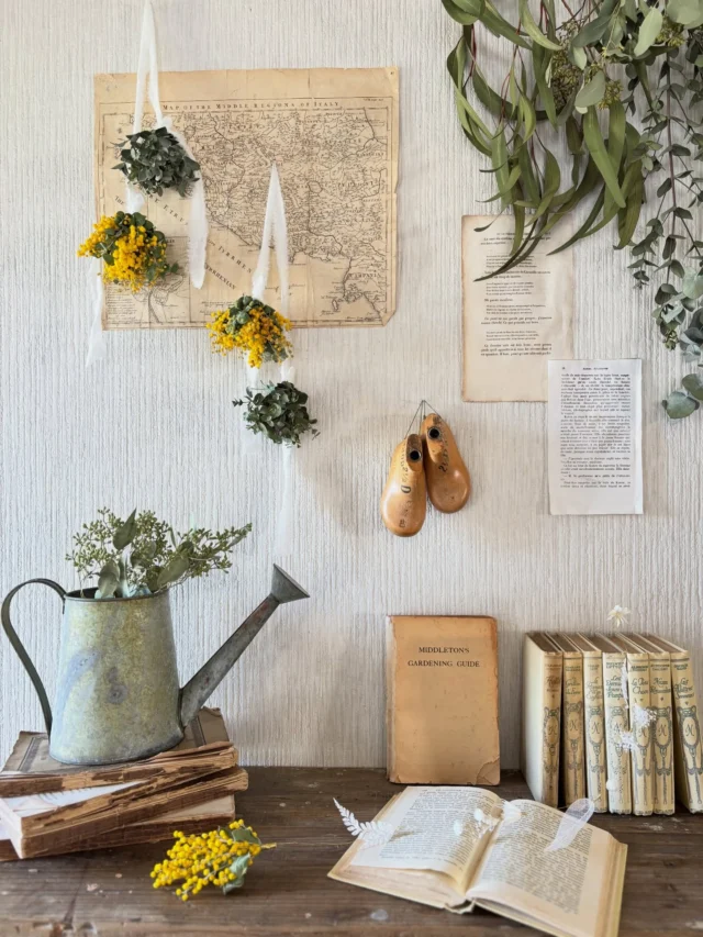 ▷▷▷イベント販売作品

3/8(日)｜Mimosa's  Stories

………………………………………………………………………………

ミモザが主役なイベント
『 Mimosa's  Stories 』にて販売する作品を
紹介しています

1日に2〜3作品ほど
たくさんの投稿になりますが
どうぞよろしくお願いします🟡🌿

………………………………………………………………………………

【 作品No.⑨ 】
ミモザとユーカリのツインスワッグ
ミモザ｜φ10㎝
ユーカリ｜φ8㎝

手乗りサイズな
ミモザとユーカリ

布紐で繋いで
ツインスワッグに
仕立てました🟡🌿

引っ掛ける箇所を変えて
色んな飾り方 ▷ 3〜7枚目

さくらんぼみたいに
飾ってもかわいいし

ミモザを上にしてみたり
ユーカリを上にしてみたり

ミモザとユーカリを
ぐっと離して
長くなるように飾ってみたり

昨日紹介した
【ミモザのしっぽガーランド】と
一緒に引っ掛けて飾っても
かわいかったです♡ ▷ 7枚目

・
・
・

イベント販売作品はハイライトの
『 ミモザEVENT 』にまとめてます

　▽
　▽
　▽

───────────
　@hananoiekurumi 
───────────

・
・
・

────────────────────────

◉EVENT 『 Mimosa's Stories 』 
@knutcafe 
@studio_and_space_hidingblock

ミモザが主役なイベントを2年振り
ミモザの日に開催！
〝予約不要〟のワークショップも同時開催
詳細はブログをご覧ください
(ハイライトにブログ記事のリンクを貼っています🔗)

────────────────────────

・
・
・

#はなのいえくるみ
#ミモザ
#パールアカシア
#真珠葉アカシア
#MimosasStories2026