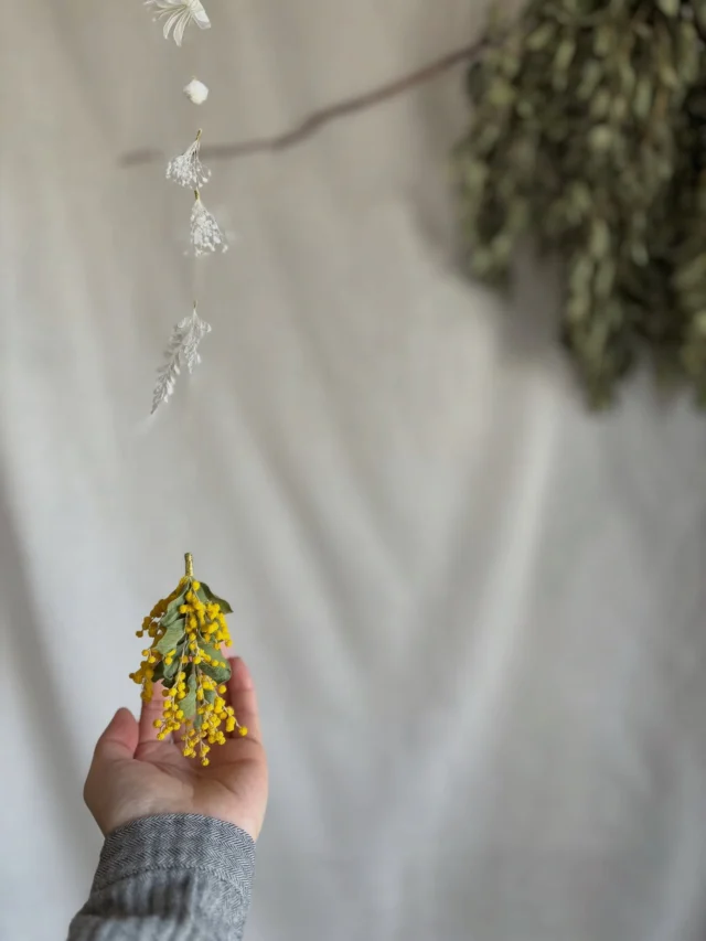 ▷▷▷イベント販売作品

3/8(日)｜Mimosa's  Stories

………………………………………………………………………………

ミモザが主役なイベント
『 Mimosa's  Stories 』にて販売する作品を
紹介しています

1日に2〜3作品ほど
たくさんの投稿になりますが
どうぞよろしくお願いします🟡🌿

………………………………………………………………………………

【 作品No.⑧ 】
ミモザしっぽのガーランド
H:73㎝

粒々が大きくて
葉っぱも散りにくい品種のミモザ
パールアカシア

キュッと束ねて
ミモザしっぽに

そんなミモザしっぽは
真っ白な
お花や葉っぱと
繋げて繋げて
ガーランドに仕立てました

優しく揺れて
たまらなくかわいいです

真っ白なお花や葉っぱは
ほぼ色も変わらず
このまま

ミモザが色褪せてきたら
そっと切り離して✂︎

真っ白なガーランドとして
引き続き飾れちゃいますよ◎

・
・
・

イベント販売作品はハイライトの
『 ミモザEVENT 』にまとめてます

　▽
　▽
　▽

───────────
　@hananoiekurumi 
───────────

・
・
・

────────────────────────

◉EVENT 『 Mimosa's Stories 』 
@knutcafe 
@studio_and_space_hidingblock

ミモザが主役なイベントを2年振り
ミモザの日に開催！
〝予約不要〟のワークショップも同時開催
詳細はブログをご覧ください
(ハイライトにブログ記事のリンクを貼っています🔗)

────────────────────────

・
・
・

#はなのいえくるみ
#ミモザ
#パールアカシア
#真珠葉アカシア
#MimosasStories2026