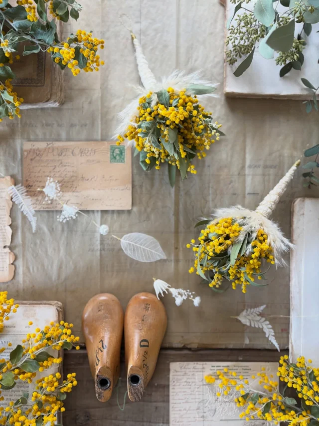 ▷▷▷イベント販売作品

3/8(日)｜Mimosa's  Stories

………………………………………………………………………………

ミモザが主役なイベント
『 Mimosa's  Stories 』にて販売する作品を
紹介しています

1日に2〜3作品ほど
たくさんの投稿になりますが
どうぞよろしくお願いします🟡🌿

………………………………………………………………………………

【 作品No.⑦ 】
ミモザとユーカリのペンダントライトブーケ
φ:12㎝
H:23〜25㎝

ミモザ × ユーカリ
間違いなしの組み合わせ🟡🌿

少し前に
粒々ガーランド付の
ペンダントライトをご紹介しましたが

こちらはシンプルに
ミモザとユーカリとパンパスグラス
🟡🌿🌾

上から吊るして
ゆらゆら揺れる姿を眺めたり

壁にかけたり
棚に置いても◎

色んな飾り方を
楽しんでください☺︎☺︎☺︎

・
・
・

イベント販売作品はハイライトの
『 ミモザEVENT 』にまとめてます

　▽
　▽
　▽

───────────
　@hananoiekurumi 
───────────

・
・
・

────────────────────────

◉EVENT 『 Mimosa's Stories 』 
@knutcafe 
@studio_and_space_hidingblock

ミモザが主役なイベントを2年振り
ミモザの日に開催！
〝予約不要〟のワークショップも同時開催
詳細はブログをご覧ください
(ハイライトにブログ記事のリンクを貼っています🔗)

────────────────────────

・
・
・

#はなのいえくるみ
#ミモザ
#パールアカシア
#真珠葉アカシア
#MimosasStories2026