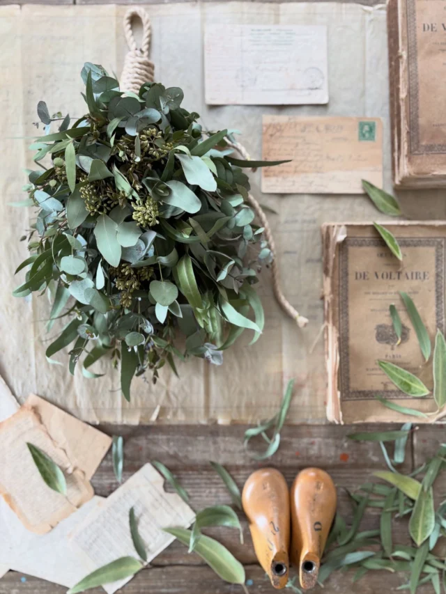 ・

オーダー(2026年3月制作)
▷ユーカリロープスワッグ/ドライフラワー

ユーカリだけを束ねた
ユーカリロープスワッグ🌿🌿🌿

ご自宅用にオーダーいただきました

毎年、
いろんな方からオーダーをいただく
ユーカリロープスワッグ

ワタクシ
ユーカリが大好物でして

中でもロープスワッグは
個人的にもお気に入りなスタイル

ユーカリ好きとしては
同じようにユーカリ好きな方がたくさんいて
嬉しいです🫶

香り豊かな品種もたっぷり束ねて
香りも一緒にお届け🌿🌿🌿

葉っぱだけで束ねても
色んな品種があって
形も色々

スワッグの厚みも
しっかりあります◎

無事に届きましたとのメッセージと
飾ったお写真もありがとうございました♡

この度はオーダーありがとうございました！

・
・
・

─────────────────────────

◉ WORK SHOP『 ボールアレンジメント 』
　4/19(日) 
　@studio_and_space_hidingblock

　詳細はブログをご覧ください
　(ハイライトにリンクを貼っています🔗)
　@hananoiekurumi

◻︎リクエスト制WORK SHOP同日開催
　詳細は7/17の投稿をご覧ください
　(ハイライトからどうぞ)
　@hananoiekurumi 

……………………………………………………………………………………

◉ ORDER

『 MOTHER'S DAY 2026 』
◻︎お届期間｜4/26(日) - 5/6(水)
◻︎受付〆切｜4/30(木) ※但、数量に達し次第〆切

詳細はブログにて
(ハイライトにリンクを貼っています🔗)
@hananoiekurumi

─────────────────────────

・
・
・

#はなのいえくるみ
#ドライフラワー
#ユーカリ
#ユーカリスワッグ
#スワッグ